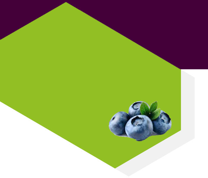 templatemo price img